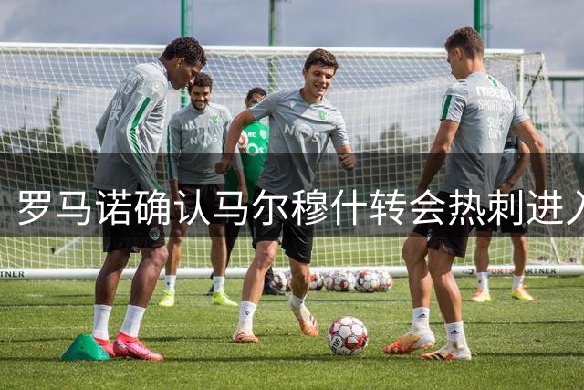 罗马诺确认马尔穆什转会热刺进入最后阶段